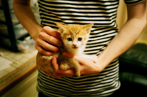 世界青少年趣味运动会青春无限青春精彩,世界青年运动会开幕式