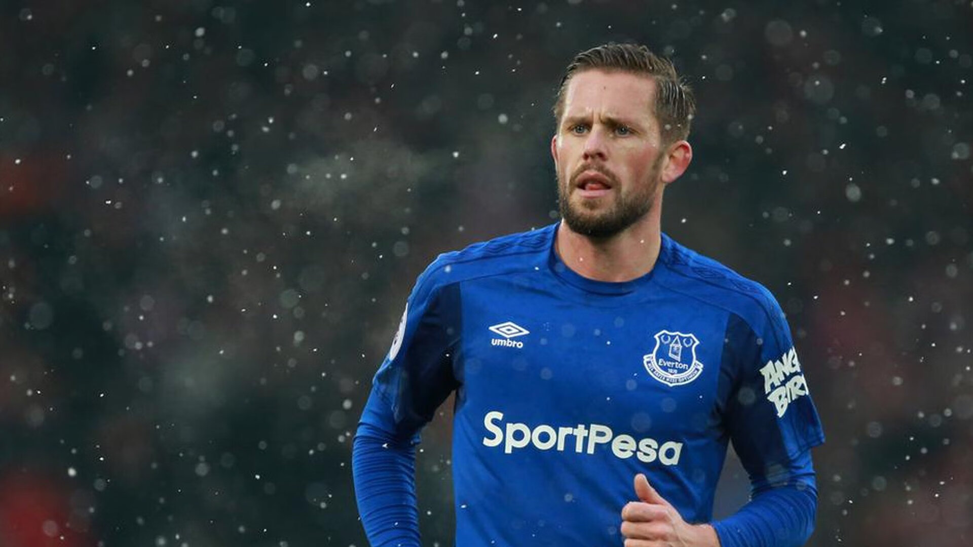 体育史最惊人的10个纪录，各种体育世界纪录